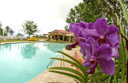 Camiguin Highland Resort Mambajao Kültér fotó